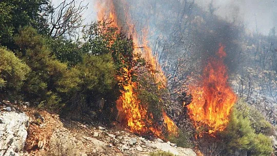Mumcular-Mazı yolu tekrar yanıyor