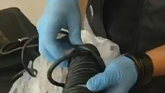 Müzik aletlerinin arasında bulundu