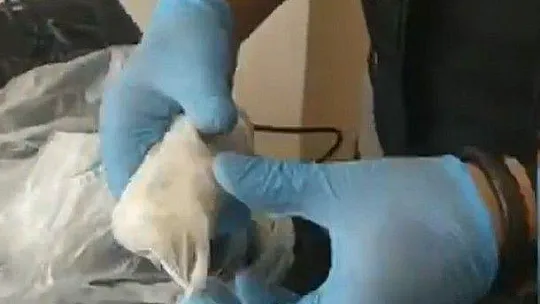 Müzik aletlerinin arasında bulundu