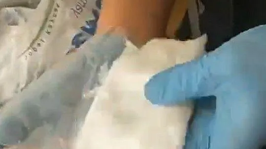 Müzik aletlerinin arasında bulundu