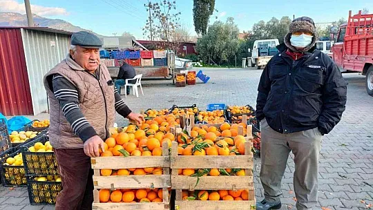Narenciye üretim merkezinde çiftçiler soğuk hava deposu istiyor