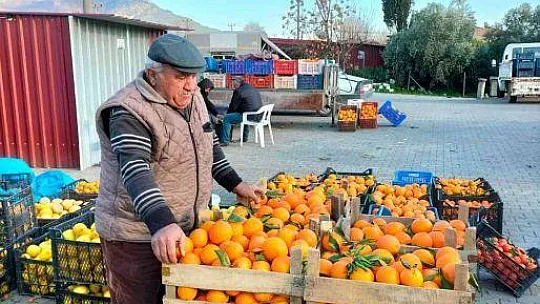 Narenciye üretim merkezinde çiftçiler soğuk hava deposu istiyor