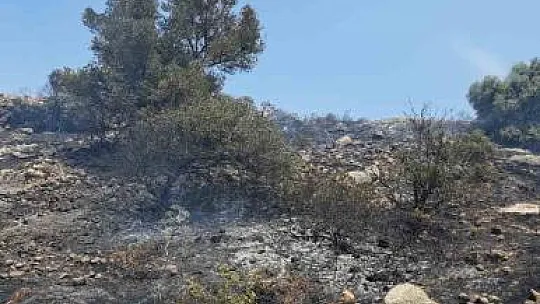 Nefes helikopteri ile yangına ilk müdahale
