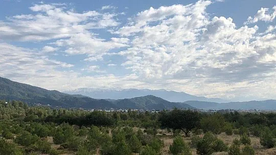 Nesli tükenme tehlikesinde olan karakulak ölü bulundu