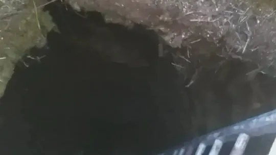 Oyun oynarken canından oluyordu