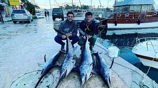 Oltaya takılan dev balık balıkçıları şaşırttı
