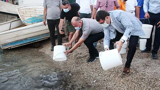 Önce denizi temizlediler sonra 30 bin yavru balığı denize bıraktılar