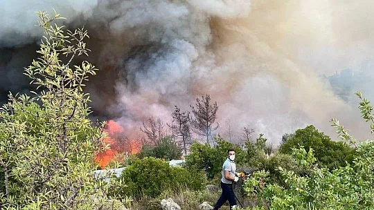 Ören'i aşan alevler Yeniköy Termik Santrali'ne doğru ilerliyor
