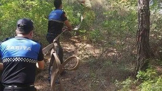 Ören Mahallesi'ndeki yangın kontrol altına alındı