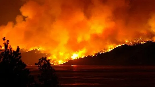 Fethiye'de 169 Hektar Orman Alanı Yandı