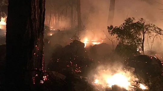 Fethiye'de 169 Hektar Orman Alanı Yandı