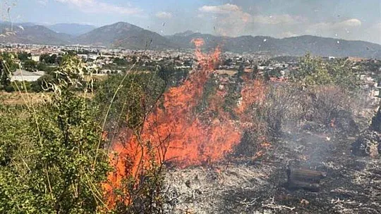 Fethiye'de 169 Hektar Orman Alanı Yandı