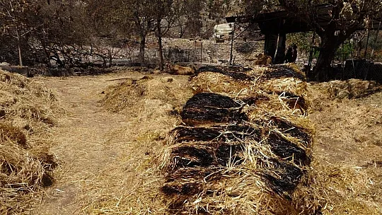 Orman yangınından etkilenen köylerde yaralar sarılıyor
