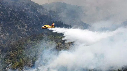 Orman yangınlarında 6 uçak 39 helikopter görev aldı