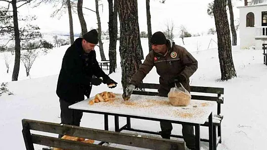 Ormancılar yaban hayatında yaşayan canlıları unutmadı