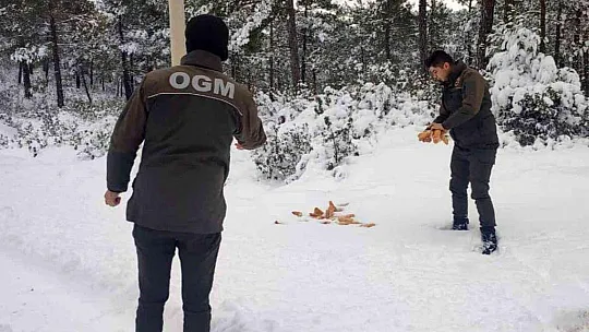 Ormancılar yaban hayatında yaşayan canlıları unutmadı