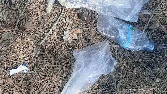 Ormanı yakarken yakalandı, tutuklandı