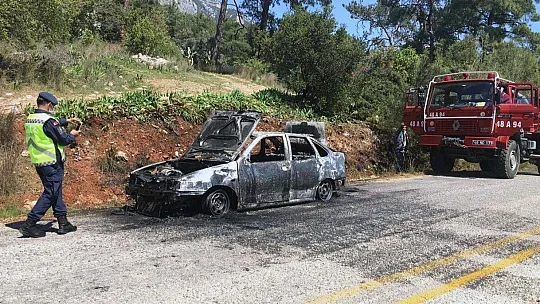 Ormanlık alanda araç yangını