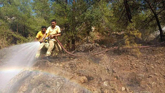 Ormanlık alanda çıkan yangın ağaçlara sıçramadan söndürüldü