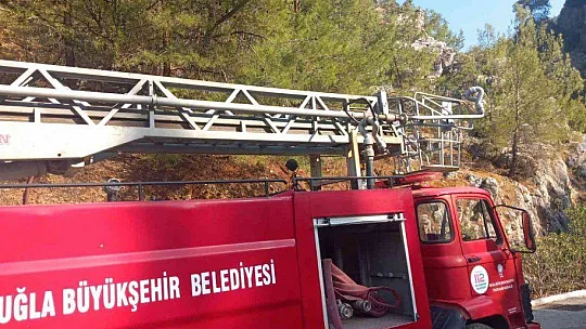 Ormanlık alanda çıkan yangın ağaçlara sıçramadan söndürüldü