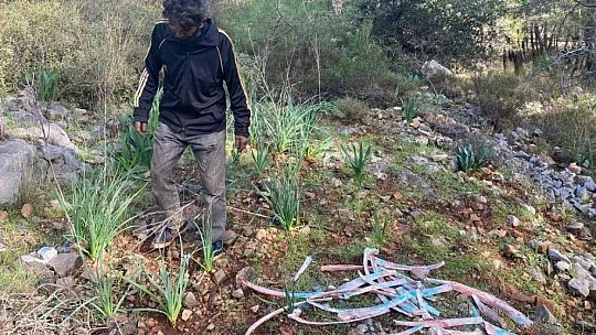 Ormanlık alanda zehirli kemikler bulundu