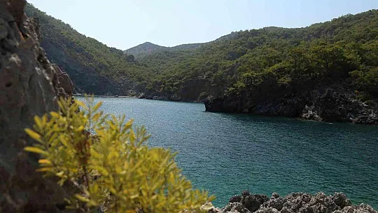ORTACA AŞI KOYU, GÖRENLERİ MEST EDİYOR