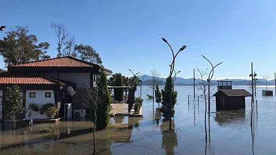 Ortaca'da arı kovanları sular altında kaldı