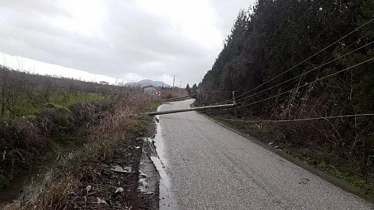 Ortaca'da fırtına çatıları uçurdu, aydınlatma direklerini devirdi