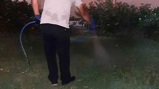 Haşere ile mücadele devam ediyor