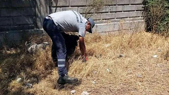 Ortaca'da ortak yaşam alanlarında kuru otlar temizleniyor