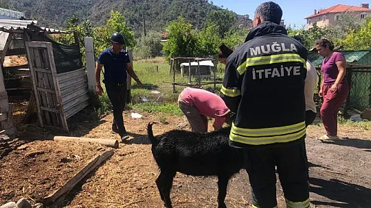 Ortaca'da saman balyaları yandı
