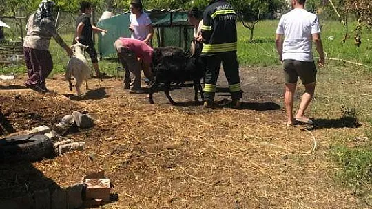 Ortaca'da saman balyaları yandı