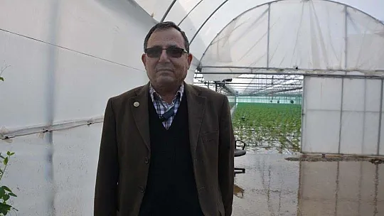 Ortaca'da seralar ve narenciye bahçeleri su altında kaldı