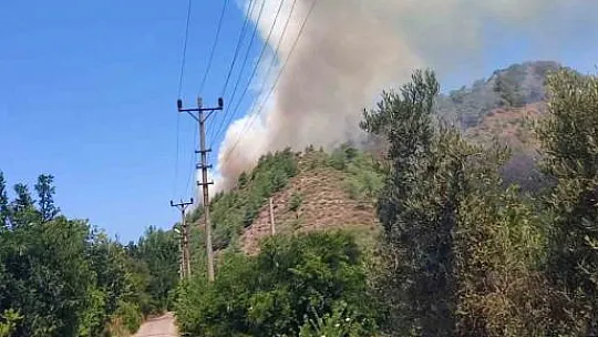 Orman yangına havadan karadan müdahale devam ediyor
