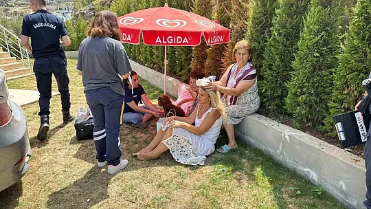 Otomobil metrelerce yükseklikten evin bahçesine düştü