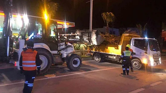 Palmiyeler için gece mesaisi