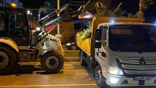 Palmiyeler için gece mesaisi