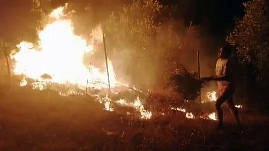 Pandemi döneminde 813 hektar alan yandı