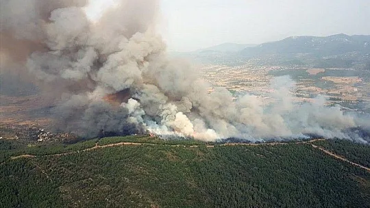 Pandemi döneminde 813 hektar alan yandı