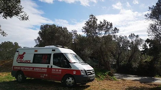 Petbulance ekibi 7/24 görevde