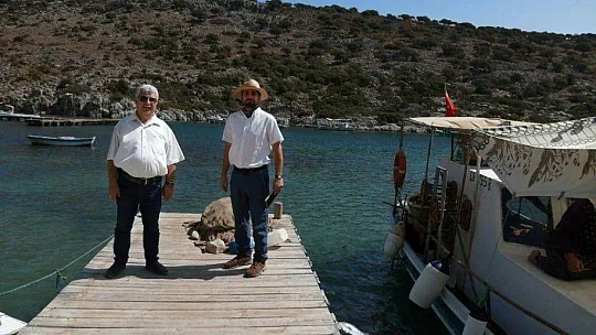 Phoenix antik kenti ayağa kaldırılıyor
