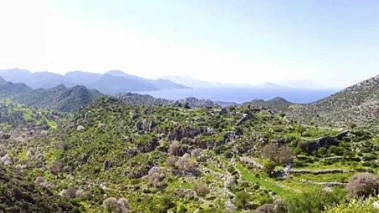 Phoenix antik kenti ayağa kaldırılıyor