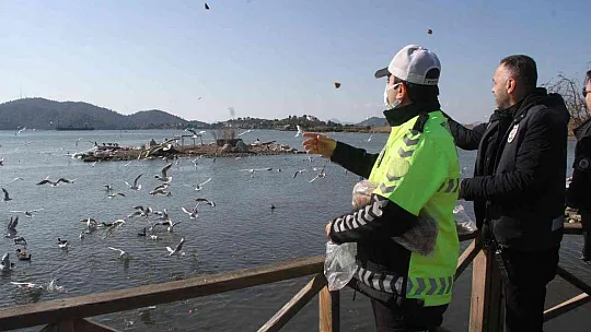 Polis ekipleri zorlu kış şartlarında sokak hayvanlarını unutmadı