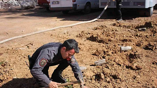 Polisler aileleri ile yanan alanlara fidan diktiler