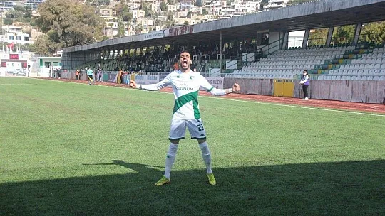 Profesyonel liglerin en golcü ismi, Ozan Sol