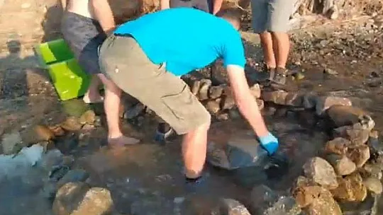Rahatsızlanan caretta caretta için seferber oldular