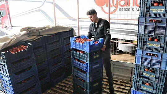 Rusya'nın Ukrayna operasyonu Antalya halinde fiyatları yüzde 50'ye yakın düşürdü