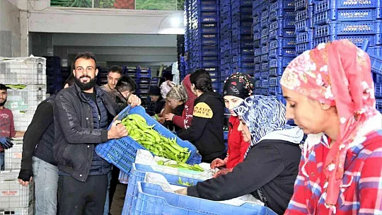 Rusya'nın Ukrayna operasyonu Antalya halinde fiyatları yüzde 50'ye yakın düşürdü