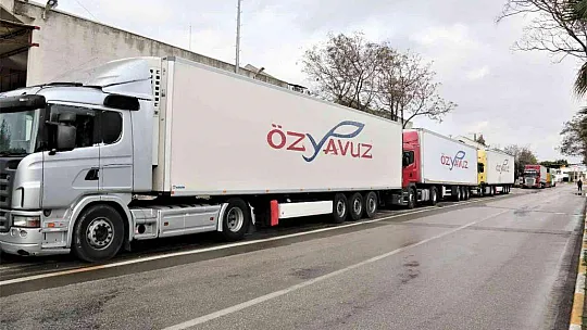 Rusya'nın Ukrayna operasyonu Antalya halinde fiyatları yüzde 50'ye yakın düşürdü