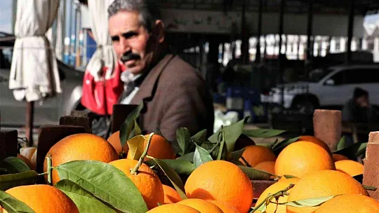 Rusya'nın Ukrayna operasyonu Antalya halinde fiyatları yüzde 50'ye yakın düşürdü